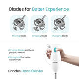 Candes Hand Blender 250 Watts, 1 Year Warranty, White - Green