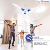 Candes Florence 1200mm/48 inch High Speed Anti-dust Decorative 5 Star Rated Ceiling Fan( 100% CNC Winding) 400 RPM (2 Yrs Warranty) (White Blue, Pack of 1)